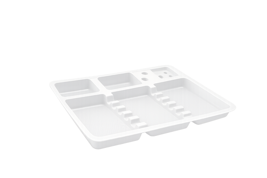 plateau dentaire jetable compartimenté plateau pose strass dentaire professionnel plateau dentaire plastique compartiments support travail strass dentaire jetable plateau organisation outils dentaires plateau formation strass dentaire plateau compartimenté esthétique dentaire plateau dentaire small large compartiments